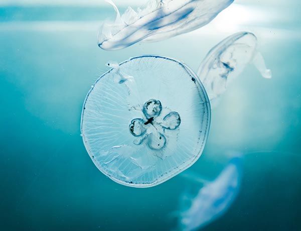 Home 26 willian justen de vasconcellos ASKGjAeIY U unsplash willian-justen-de-vasconcellos-ASKGjAeIY_U-unsplash